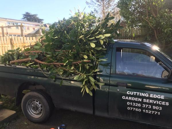 Cutting Edge Garden Services