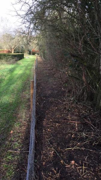 MOW 4 YOU Garden Maintenance