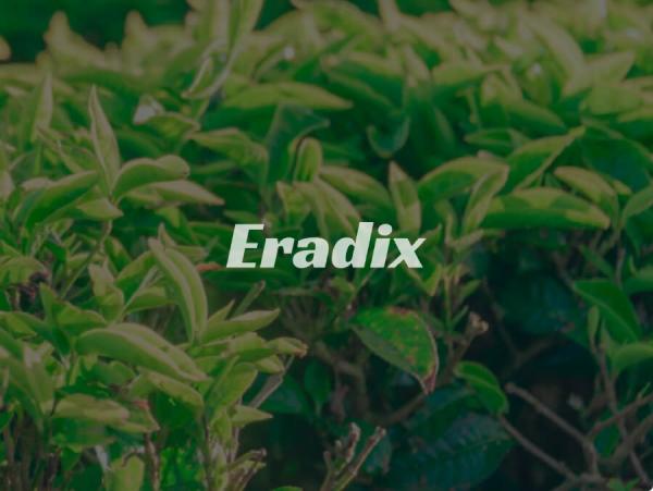 Eradix Pest Control