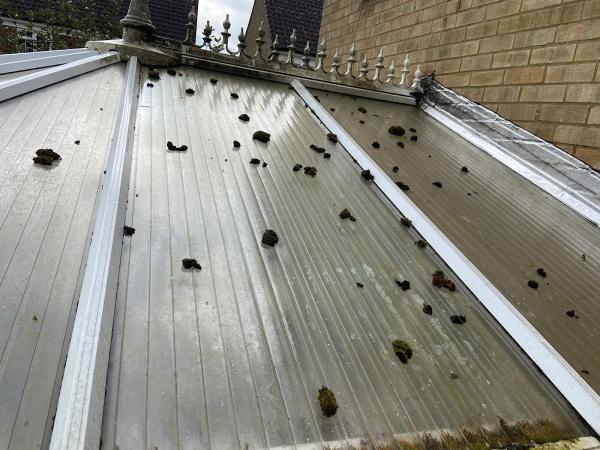 Grants External Cleaning Services