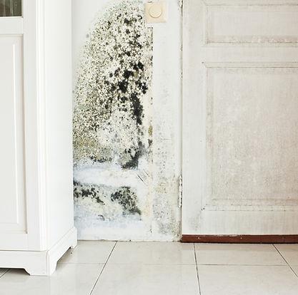 Rocksure Building Services T/A