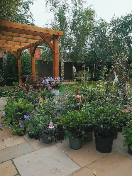 Border Control Garden Design Ltd