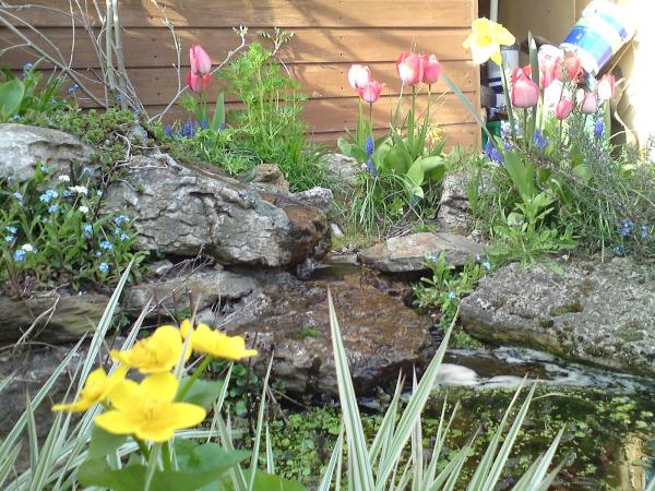 Red Robin Gardening