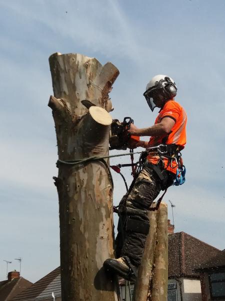 Bathams Tree Care Ltd