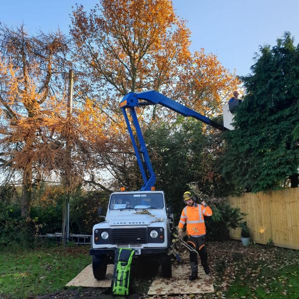 Bathams Tree Care Ltd