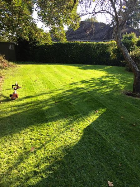 Lfpg Landscape Fencing Pergolas Gardens