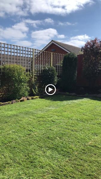 BD Landscaping and Maintenance