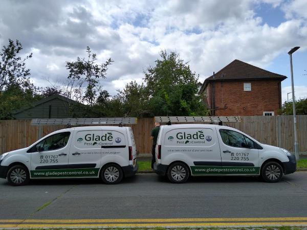 Glade Pest Control Services