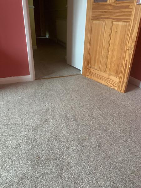 Pro Carpet Cleaning