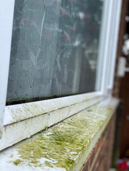 McLaren Cleaning Services