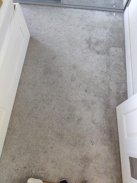 On the Spot Carpet Cleaning