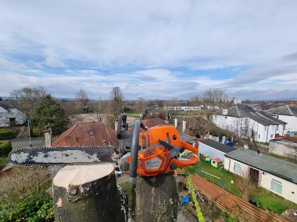 Glasgrow Tree Surgeons