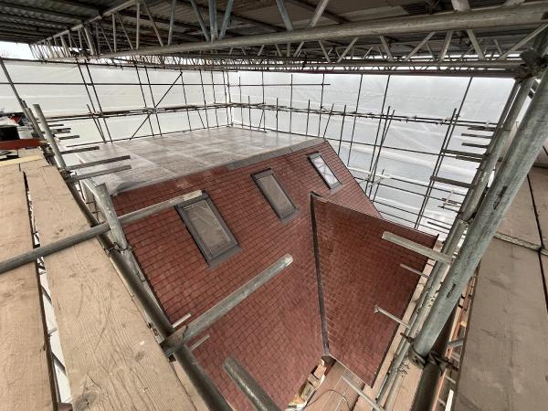 A New Lofts and Extensions