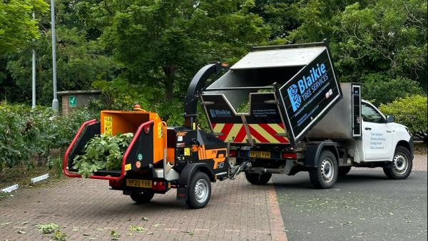 Blaikie Tree Services