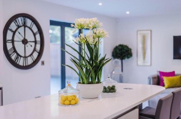Molly Marshall Home Staging