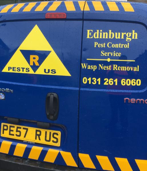 Edinburgh Wasp Control