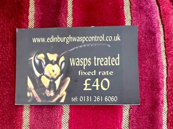 Edinburgh Wasp Control