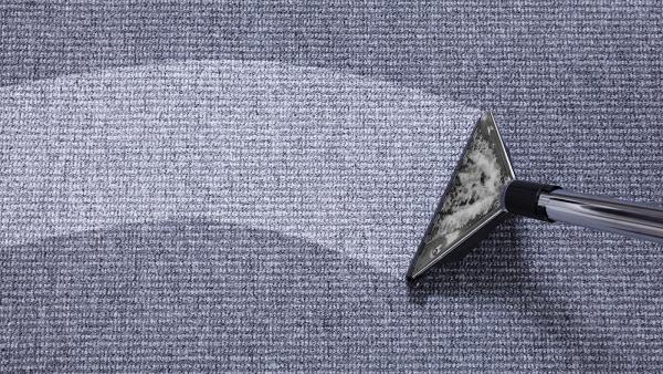 Martin's Carpet & Upholstery Cleaning