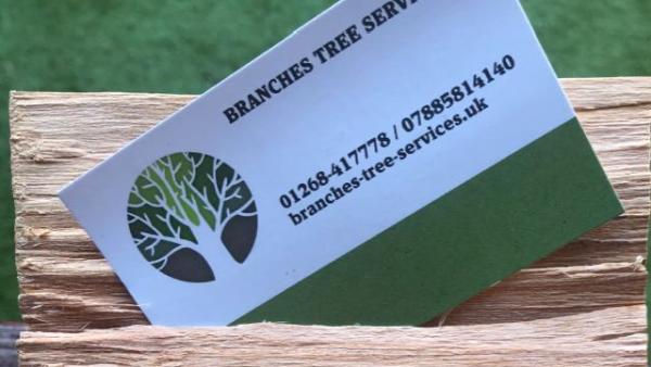 Branches Tree Services