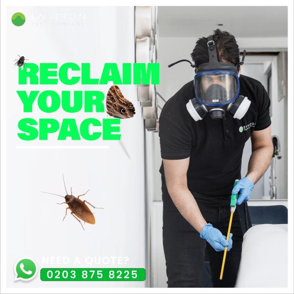 Environ Pest Control London