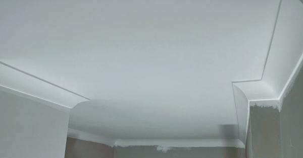 Bowerbird Plastering