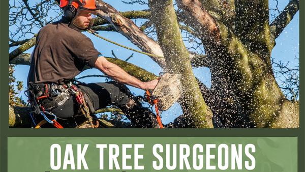 Oak Tree Surgeons