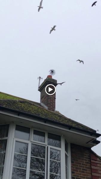 James Baker Chimney Sweep and Stove Maintenance