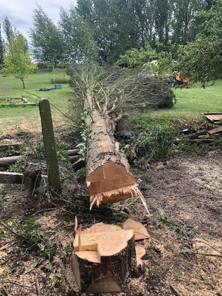 Foxcotte Tree Surgery