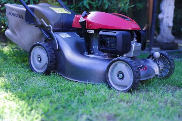 Sean Tomlinson Gardening Services