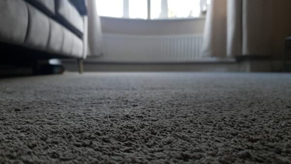 Right Choice Carpet Cleaning