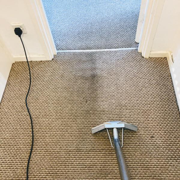 Cleaner Carpets Wales