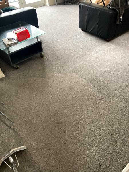 Cleaner Carpets Wales