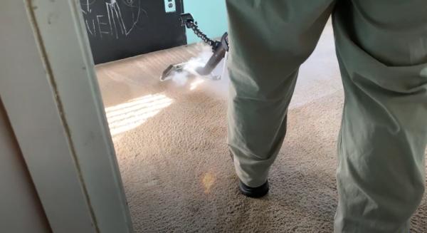 Davis Carpet Cleaning Professionals