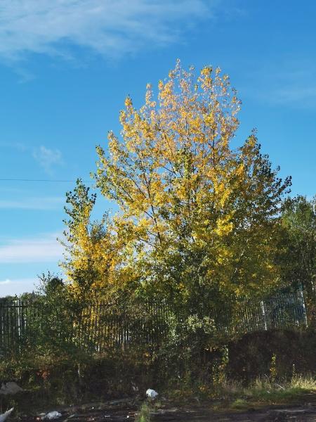 U-Spec Insulation Ltd