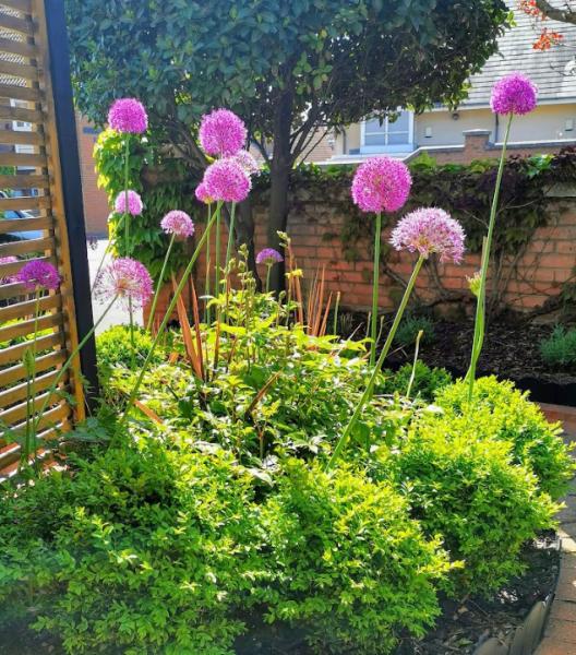 Fern Planting Design