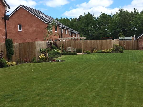Webster & Son Landscapes Ltd