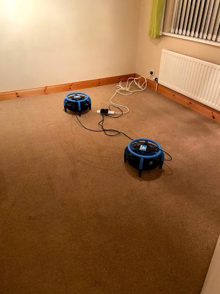 Jem Carpet & Upholstery Cleaning