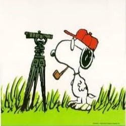 Blueprint Surveys LTD