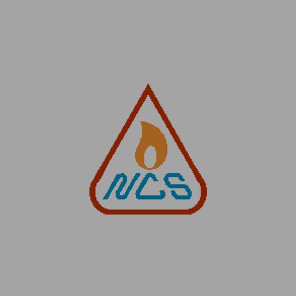 Northern Combustion Systems Ltd