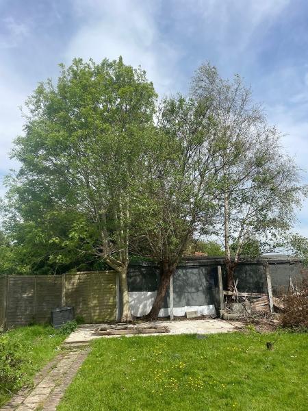 Maplewood Tree Surgery