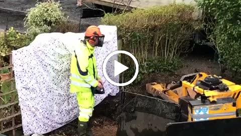 Stump Grinding Direct