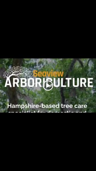 Seaview Arboriculture