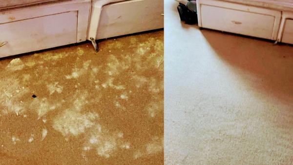 Shaws Carpets and Upholstery Cleaning Ltd