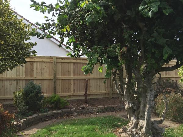 Durleigh Fencing