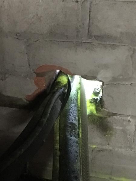 Mr. Waspman Pest & Vermin Control