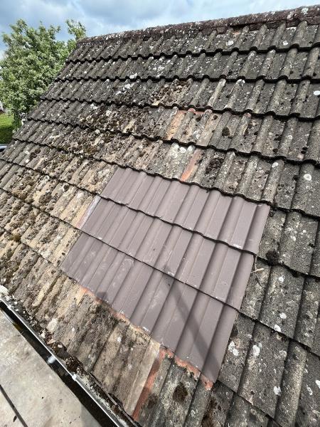 KDW Roof Maintenance