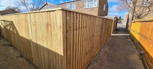 The Wood Specialists Ltd