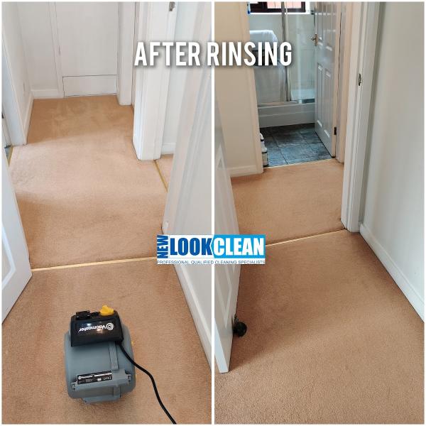 New Look Clean Carpet Cleaning and Hard Floor Cleaning