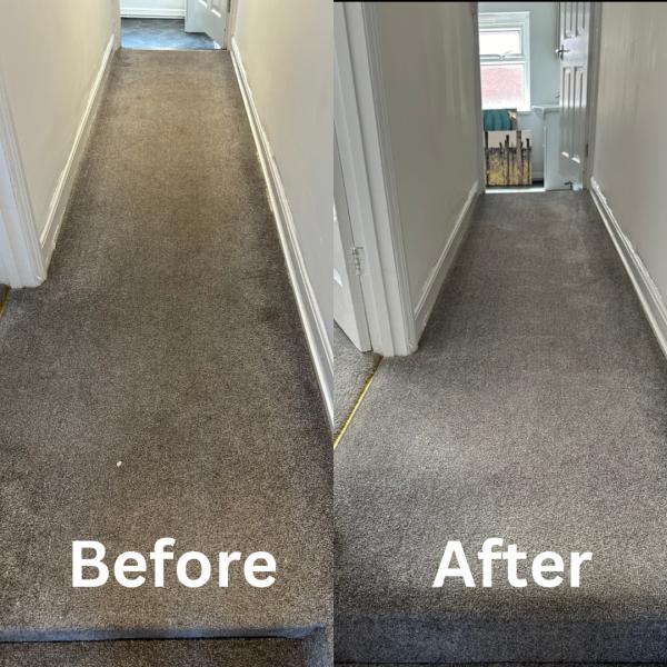 Master Carpet Cleaning