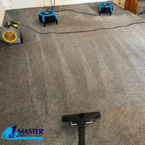 Master Carpet Cleaning Cardiff Ltd